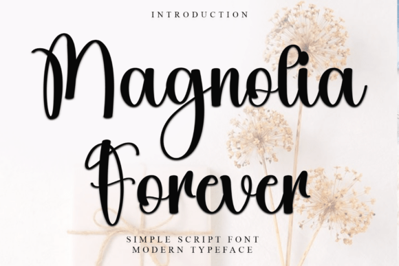 Magnolia Forever: The Font That Balances Beauty and Purpose